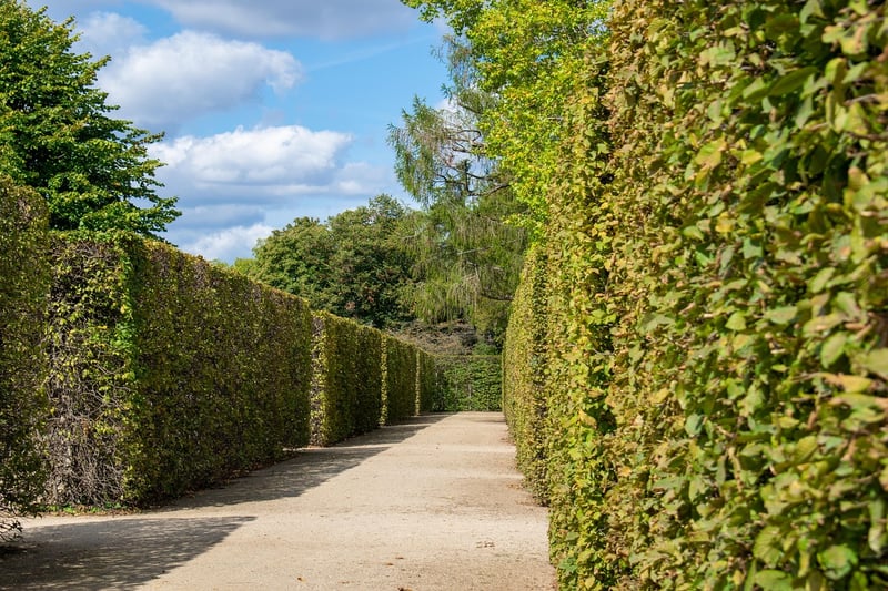 Labyrinth Image